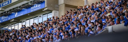 Fans in der Avnet Arena