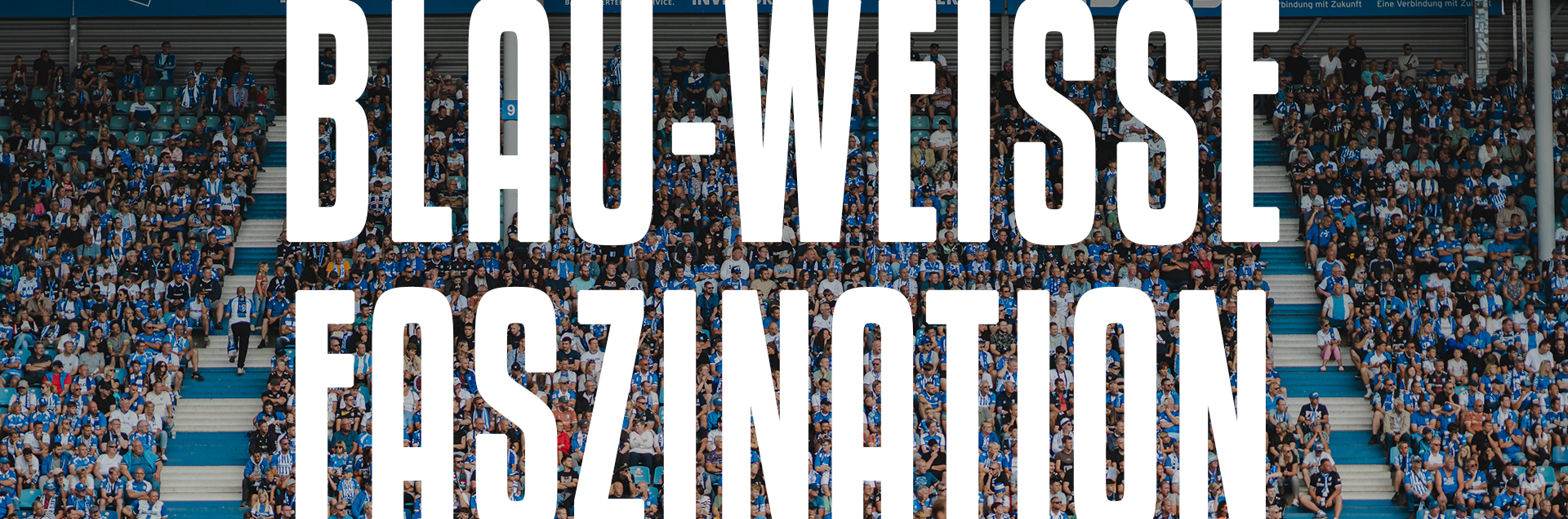 Blau-Weiße Faszination