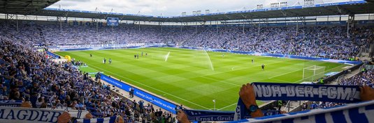 Fans in der Avnet Arena