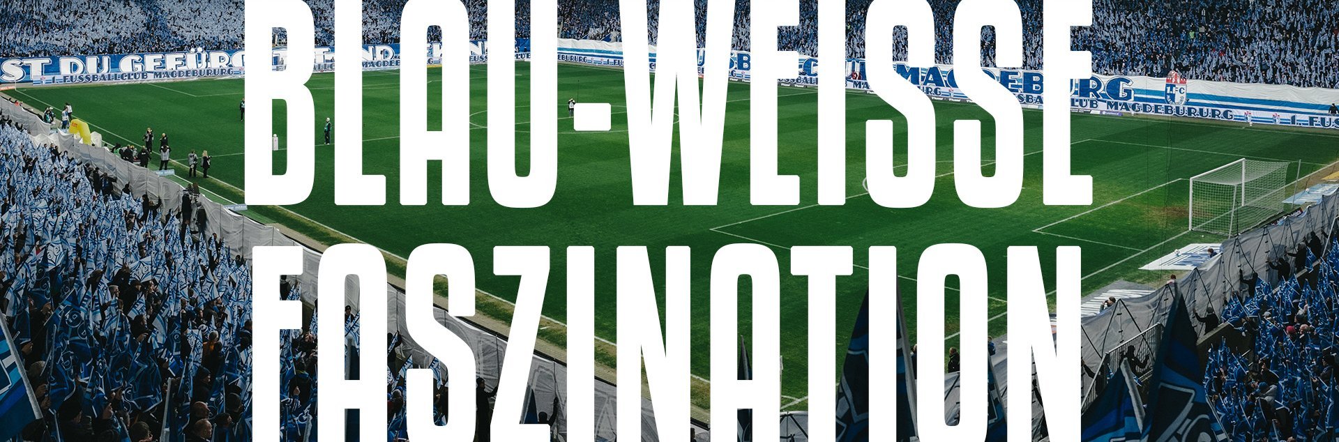 Blau-Weiße Faszination