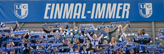 Fans in der Avnet Arena