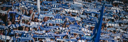 Zuschauerrekord in der Avnet Arena