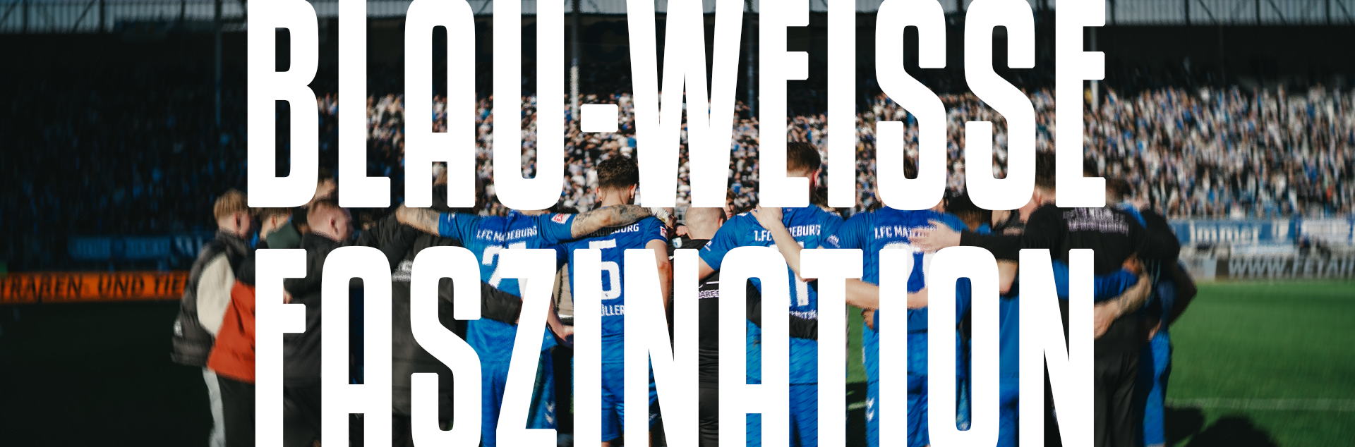 Blau-Weiße Faszination