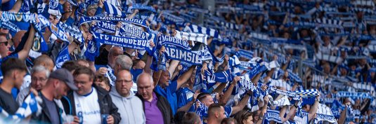 Fans im Stadion