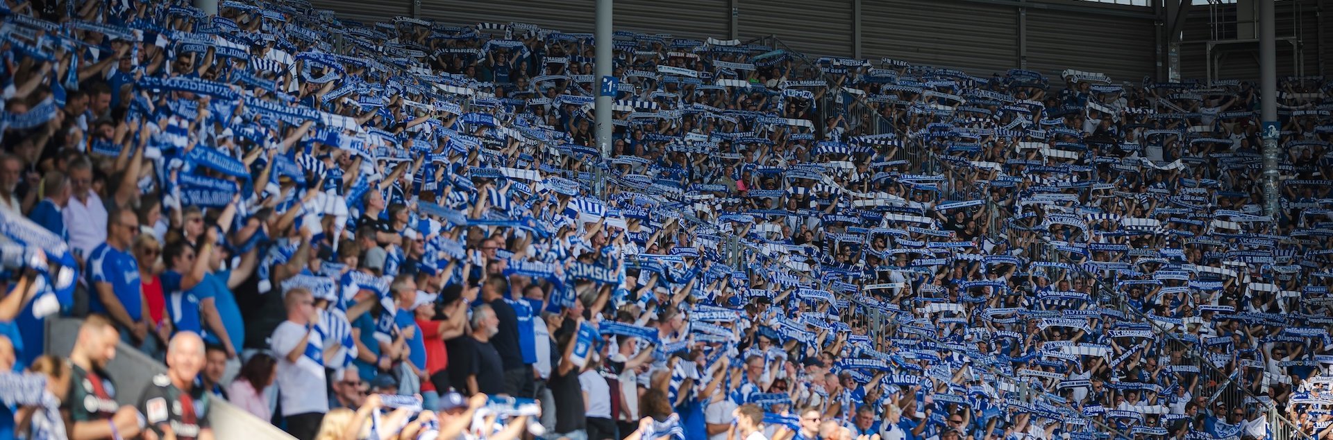 Fans in der Avnet Arena