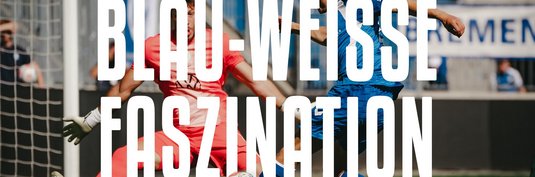 Blau-Weiße Faszination #9