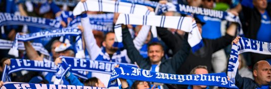 Fans in der Avnet Arena
