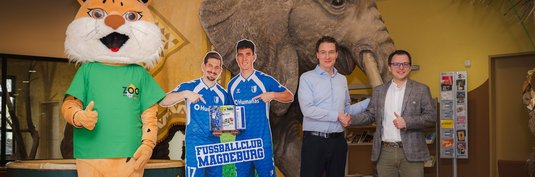 Der FCM und der Zoo Magdeburg haben eine Partnerschaft geschlossen