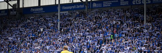 Fans in der Avnet Arena