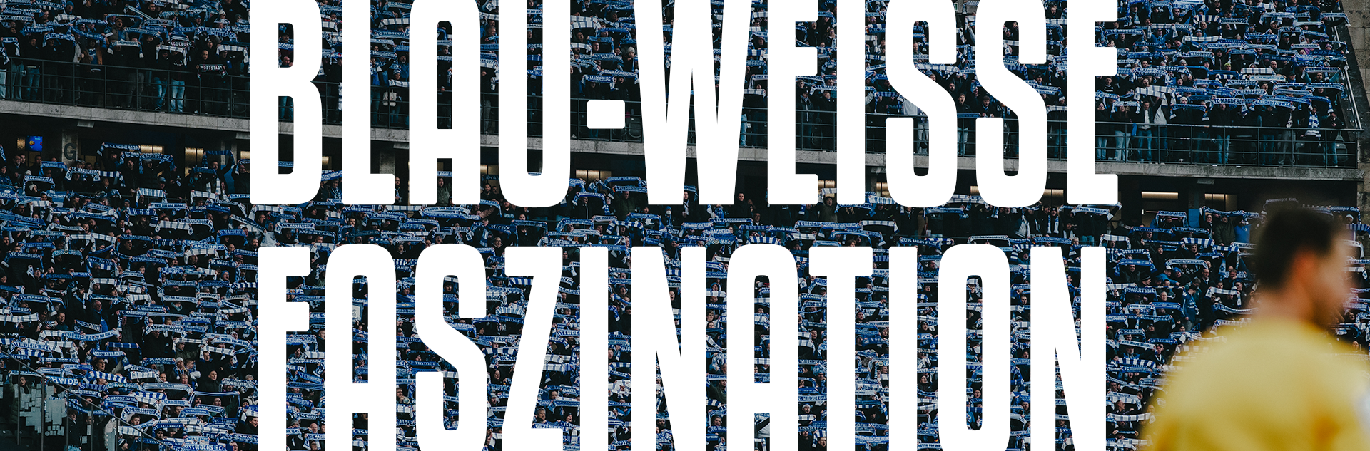 Blau-Weiße Faszination