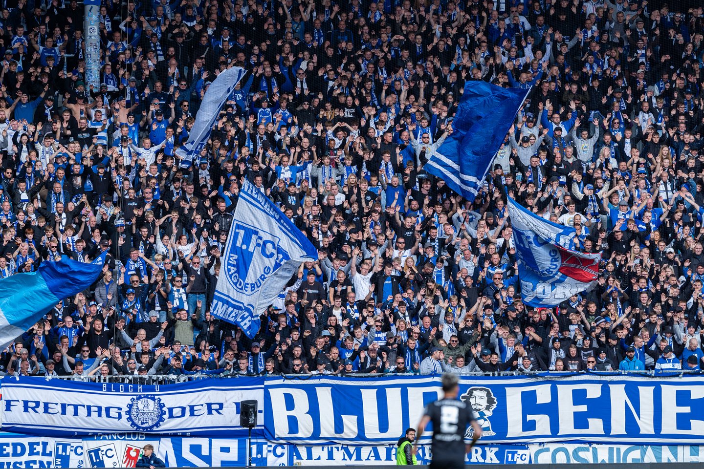 wo wird teilnehmer: 1. fc magdeburg gegen schalke übertragen