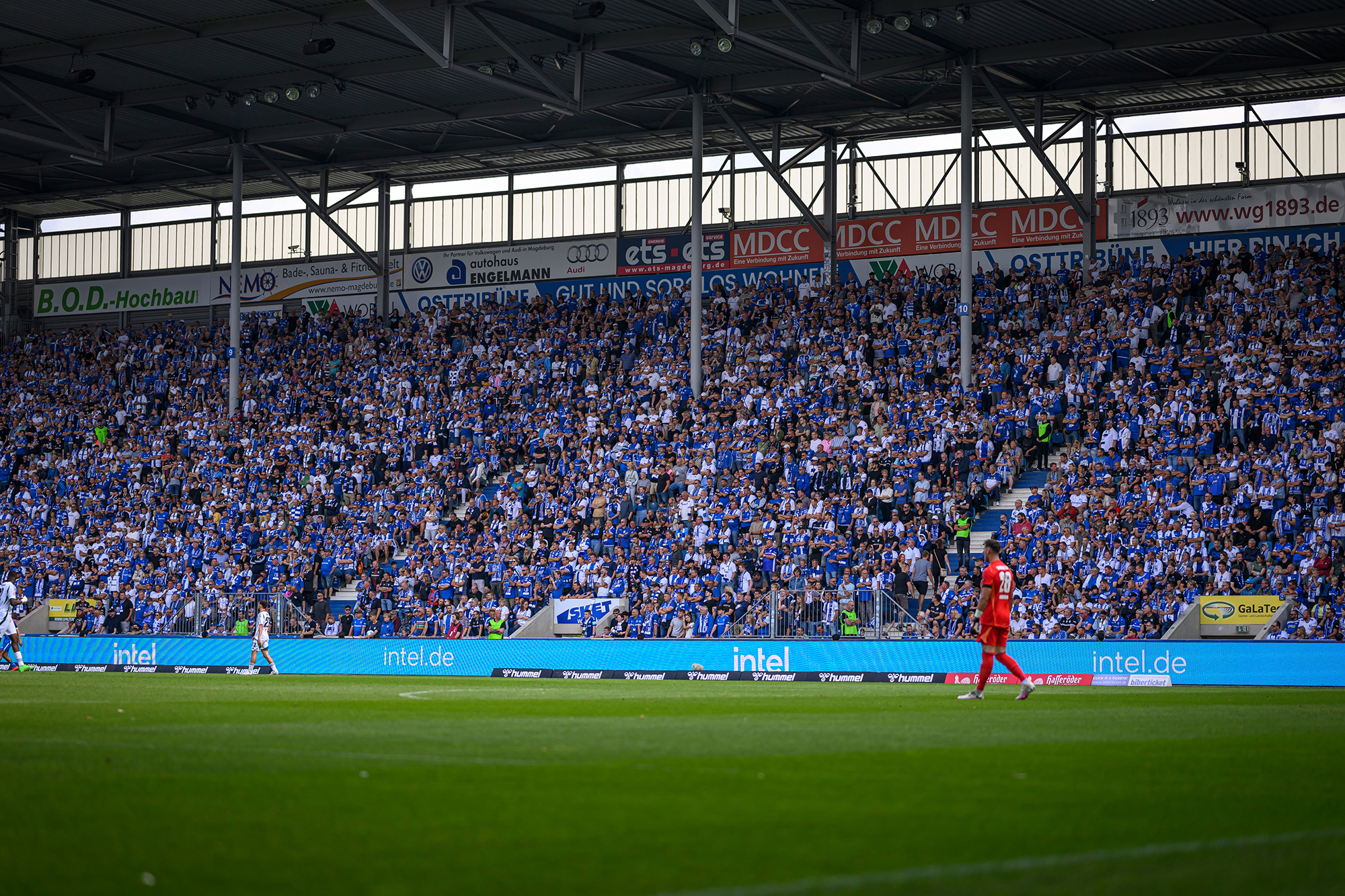 Zuschauer und Spielfeld in der Avnet Arena