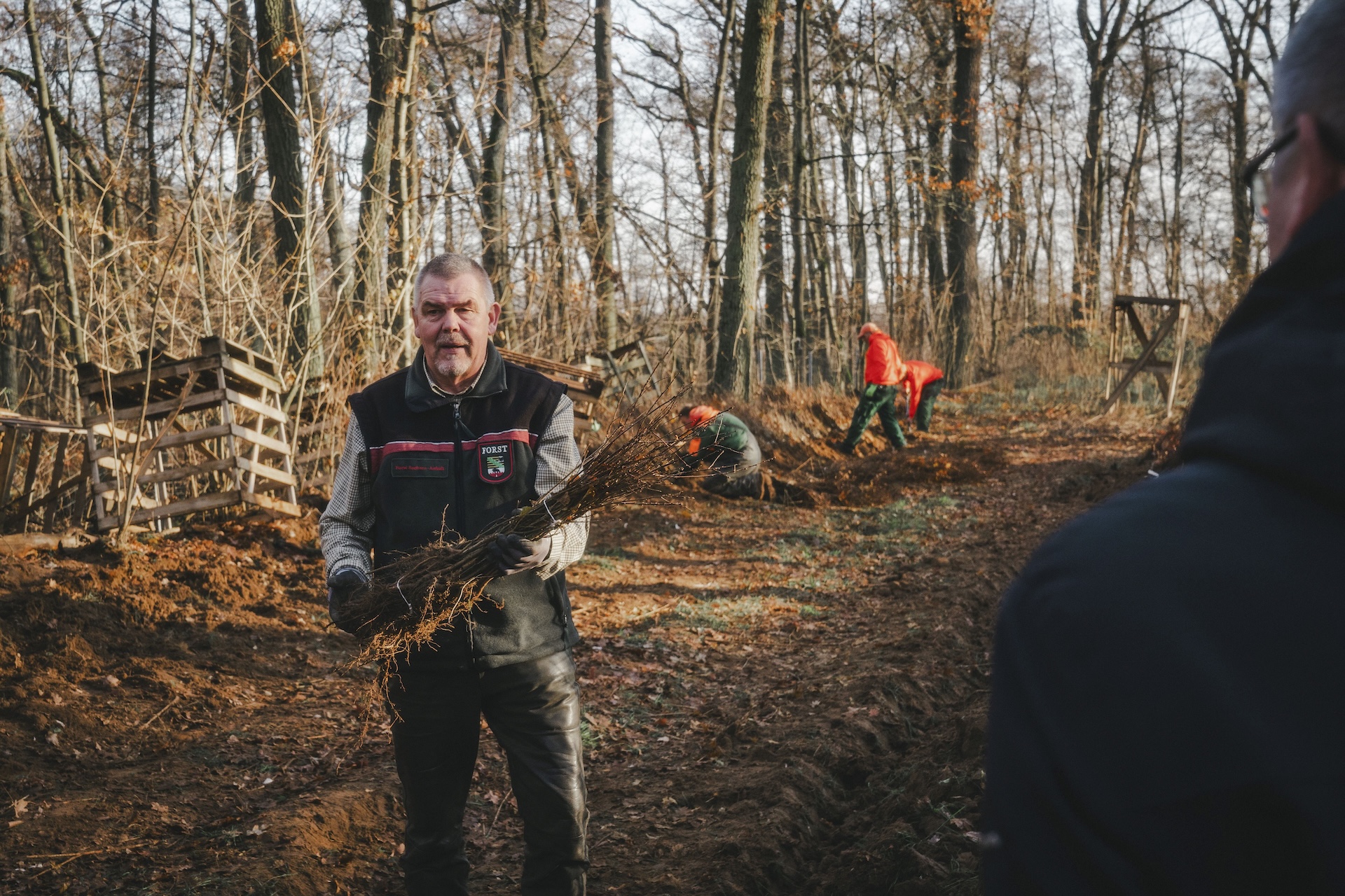 Im Rahmen des Projekts werden auf einer Fläche von 0,45 Hektar in Plötzky, Schönebeck, rund 4500 junge Eichen gepflanzt.