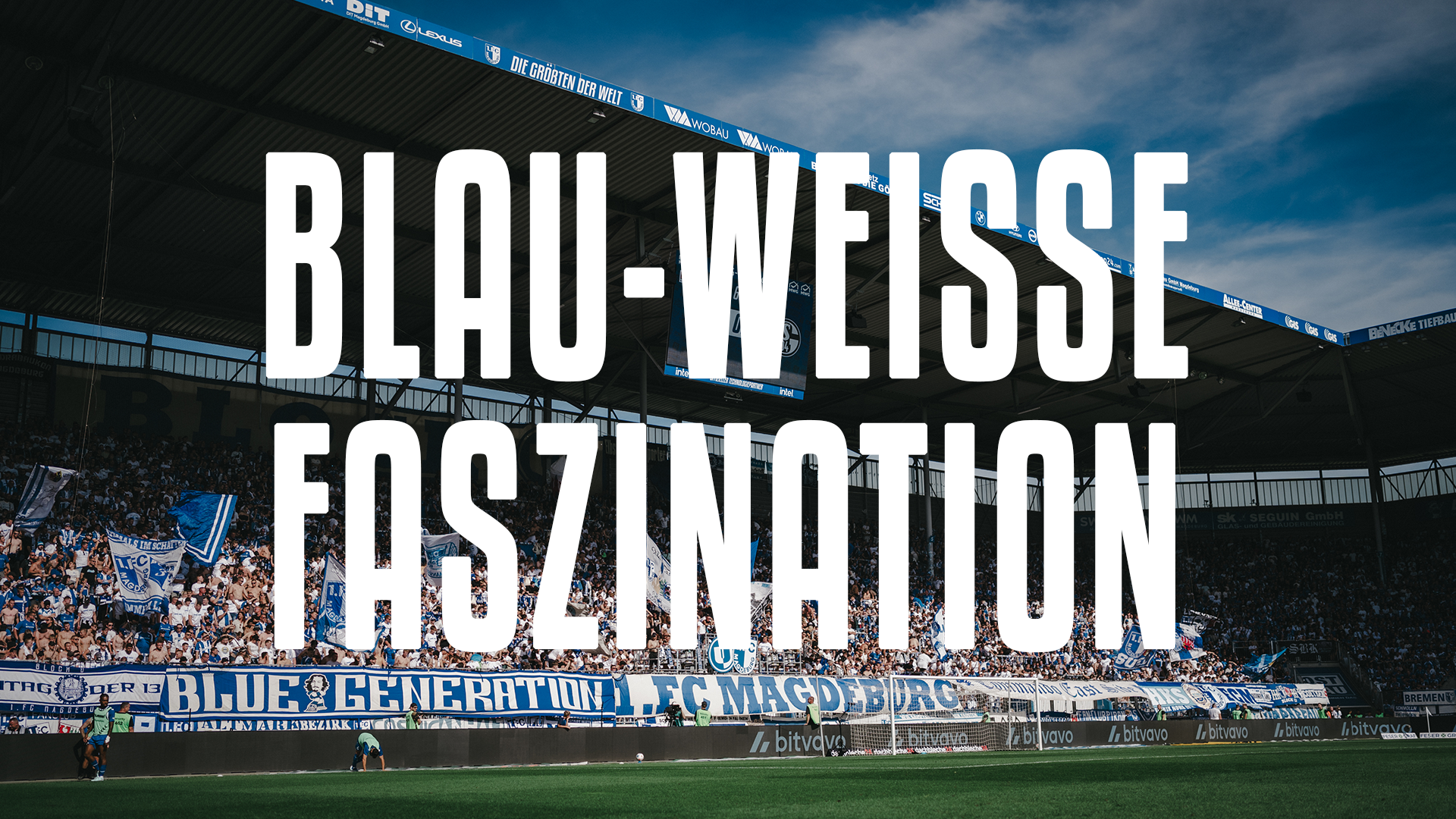 Blau-Weiße Faszination