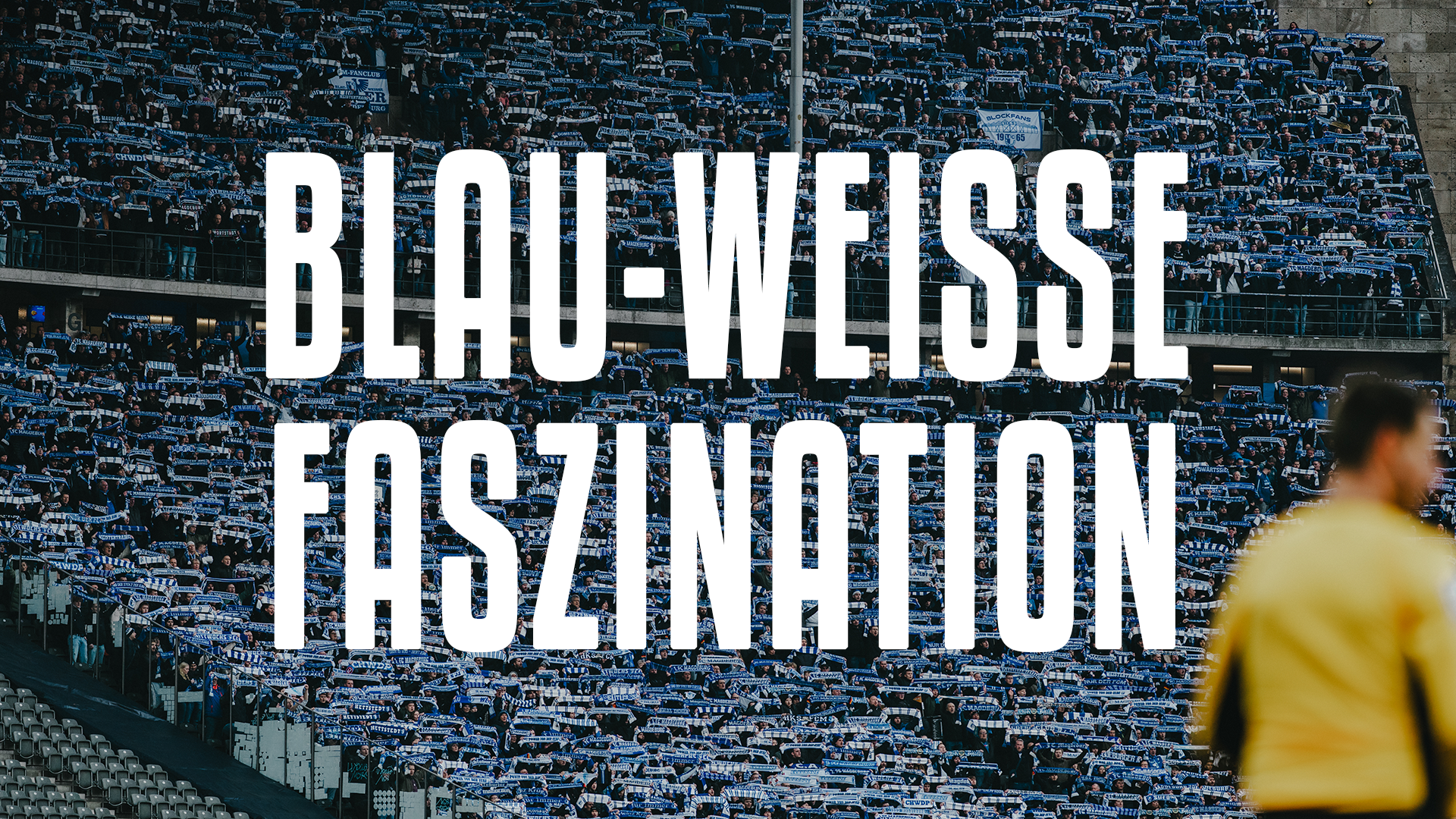 Blau-Weiße Faszination